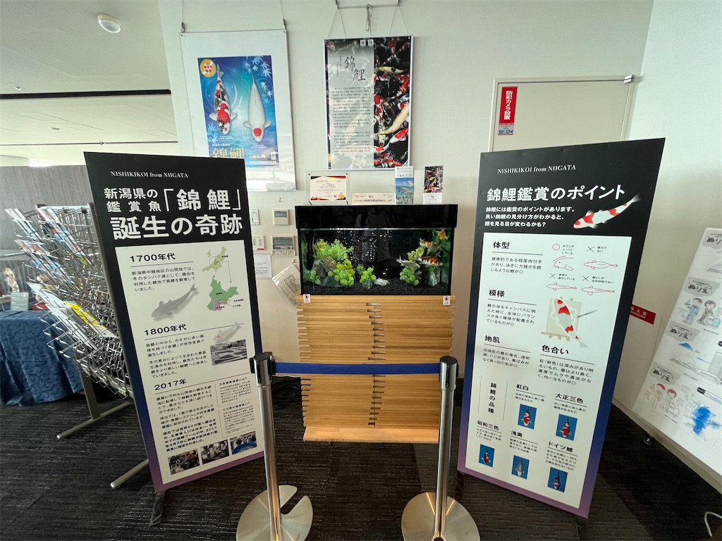 f:id:epokopoko:20250923071946j:image f:id:epokopoko:20250923071946j:image