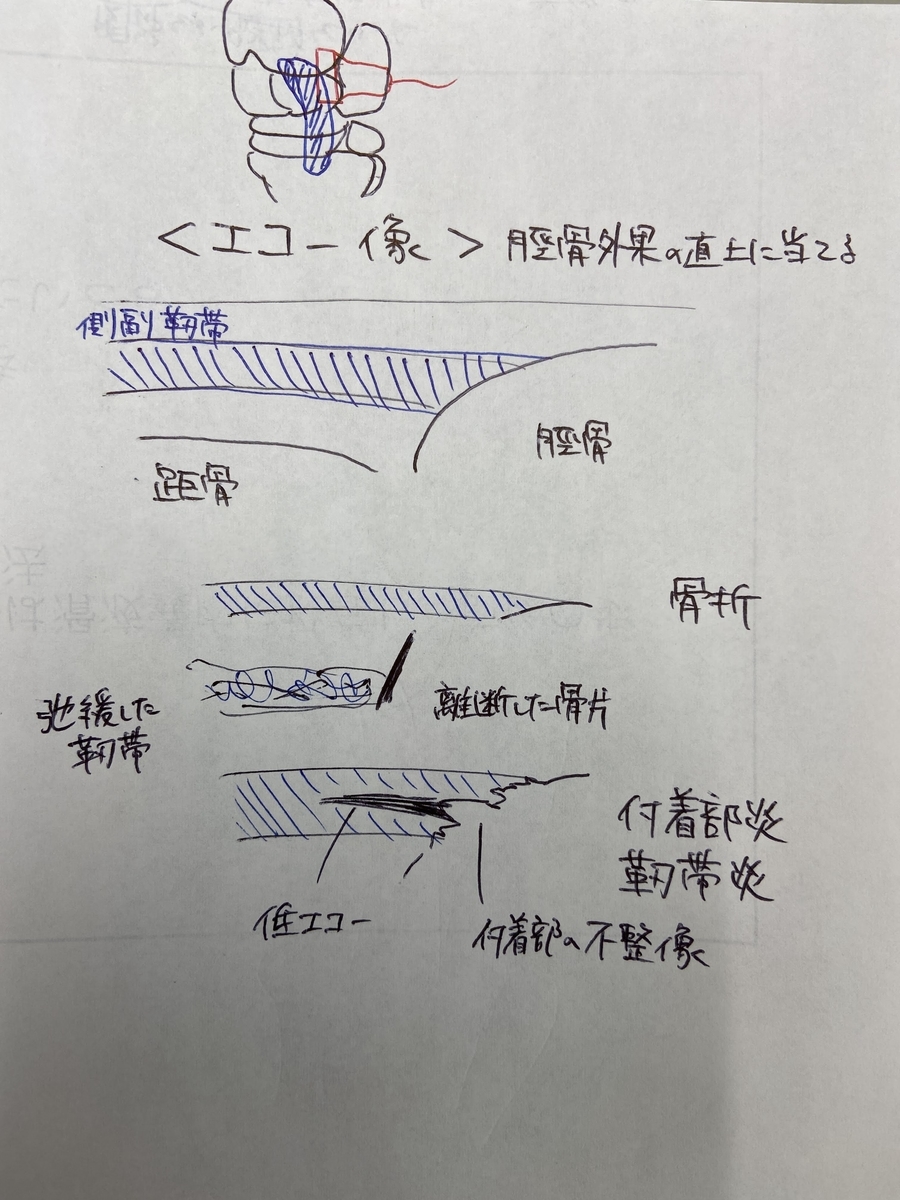 ultrasound exam