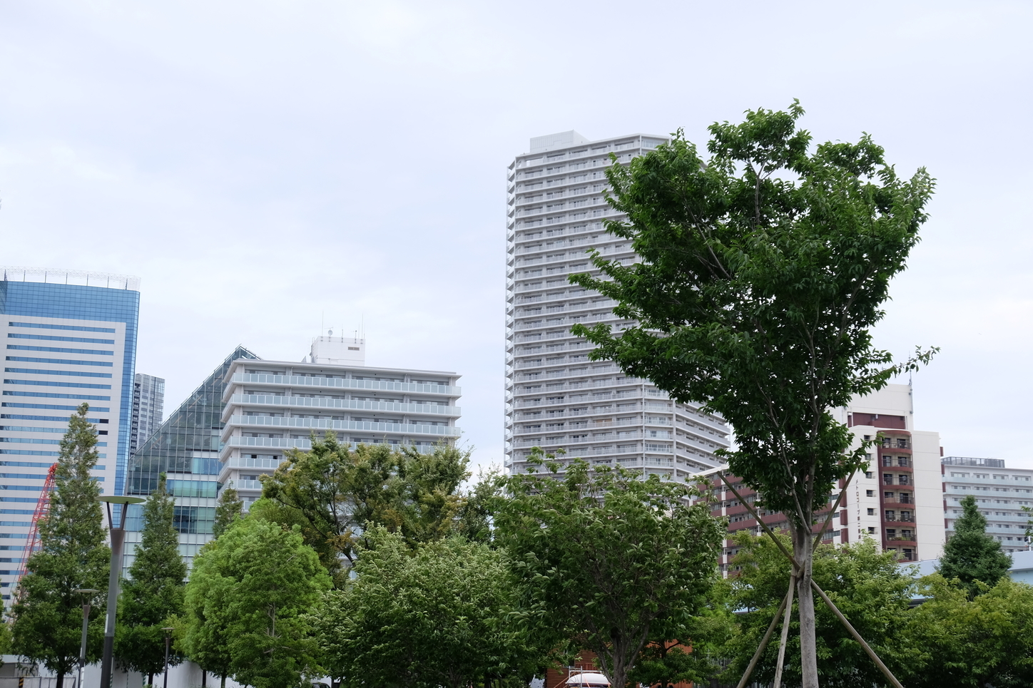 f:id:epytoerets:20190830210118j:plain f:id:epytoerets:20190830210118j:plain