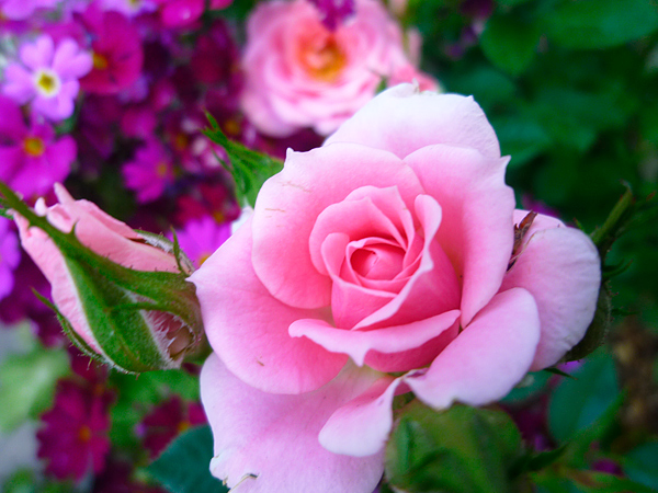 f:id:eqcomsdesigner:20100425230806j:image