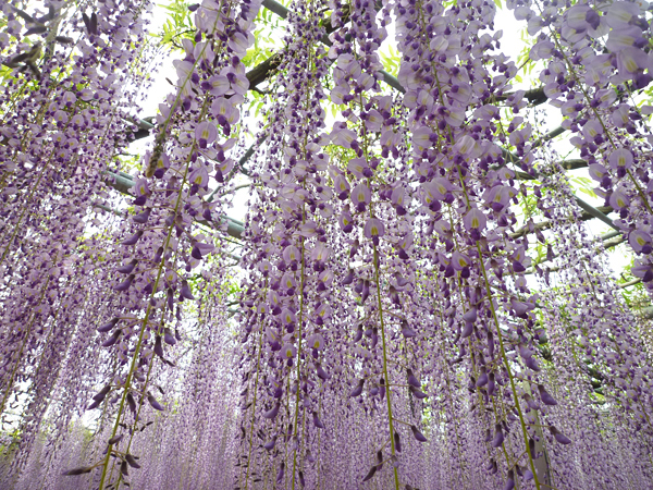 f:id:eqcomsdesigner:20100509004142j:image