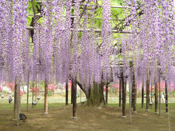 f:id:eqcomsdesigner:20100509004146j:image