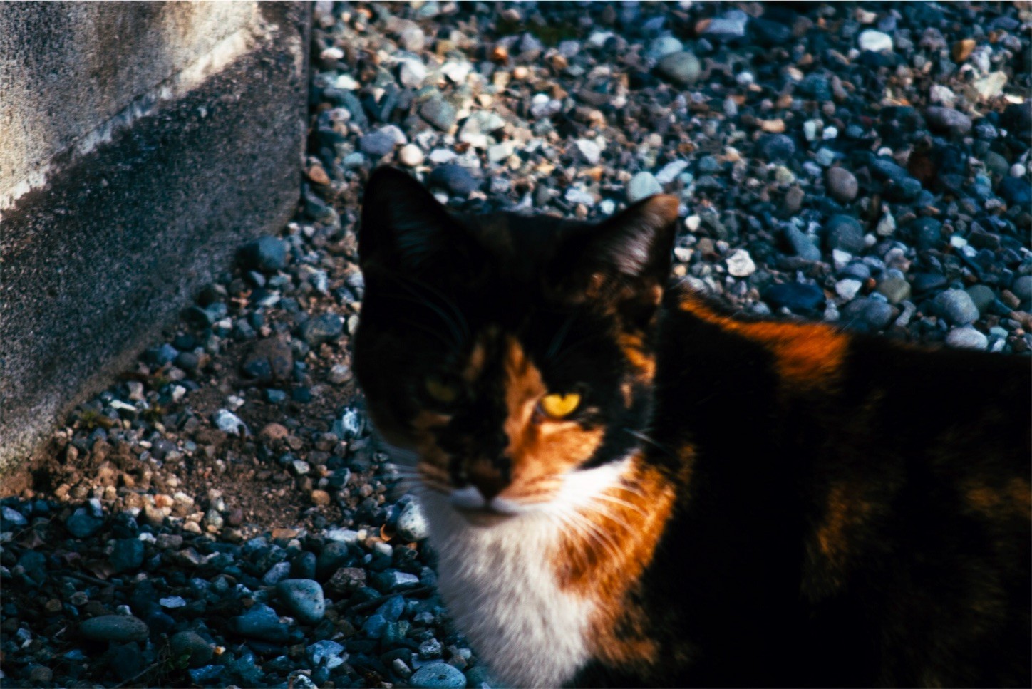 f:id:equipment:20170329164826j:image f:id:equipment:20170329164826j:image