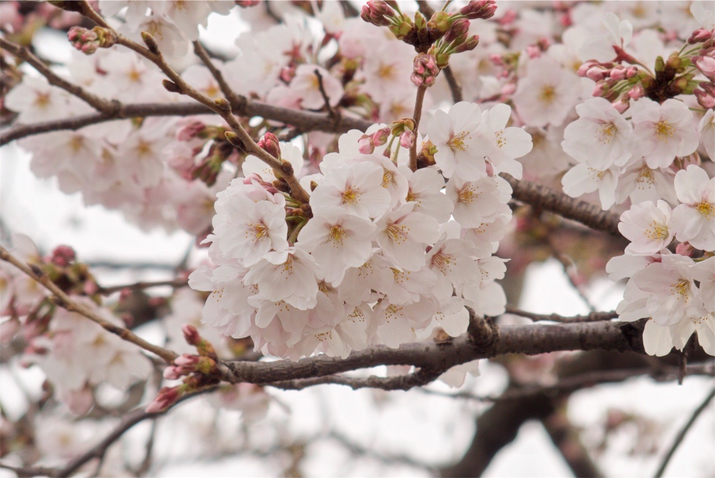 f:id:equipment:20170412145447j:image