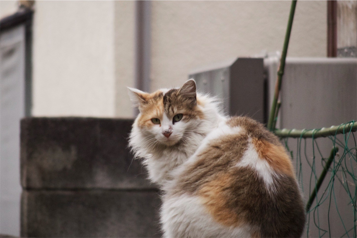 f:id:equipment:20170412145800j:image