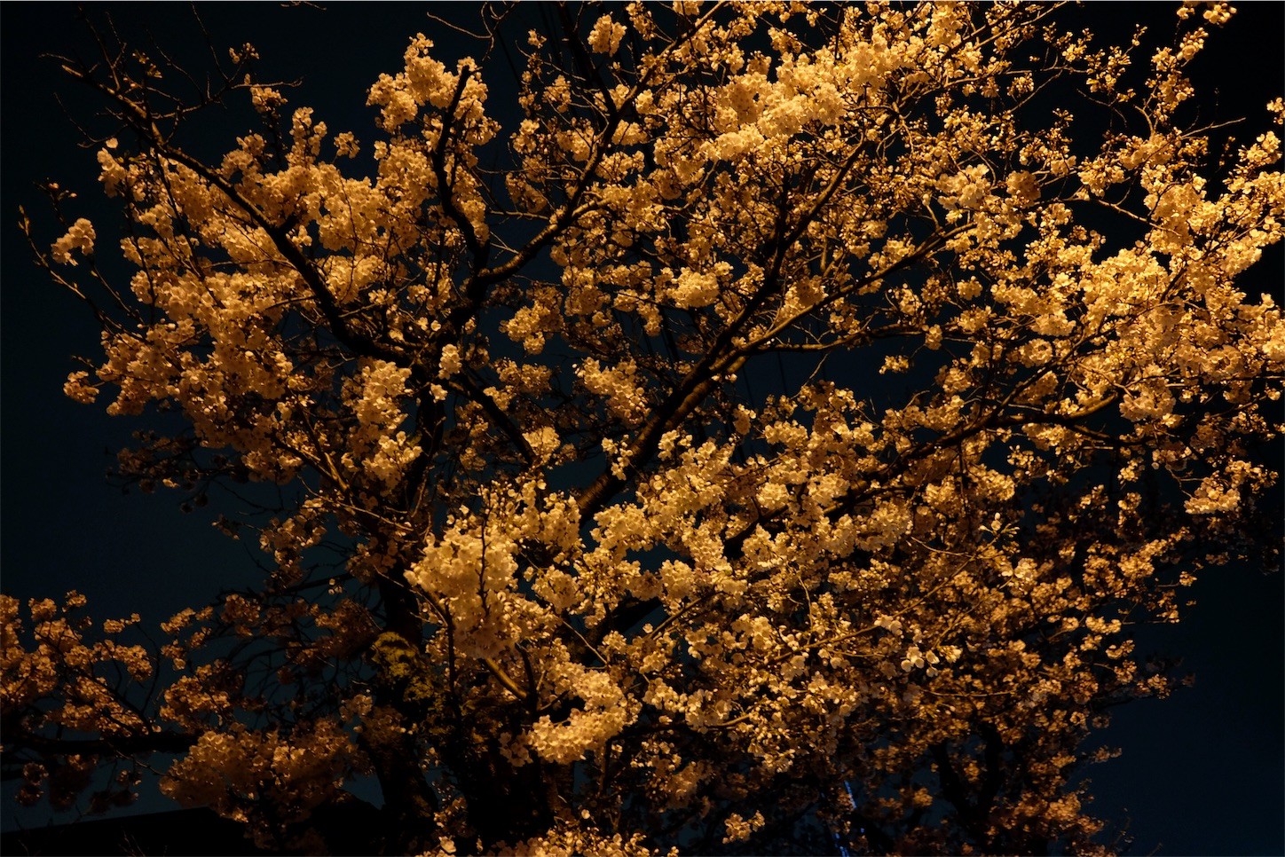 f:id:equipment:20170412152428j:image