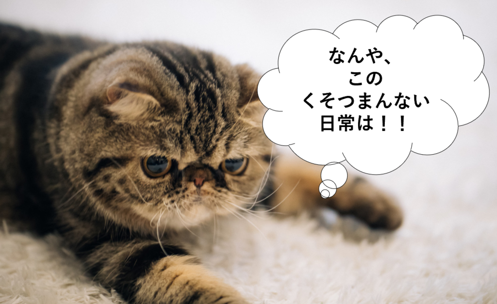 f:id:equipmentalism:20181223203833p:plain f:id:equipmentalism:20181223203833p:plain