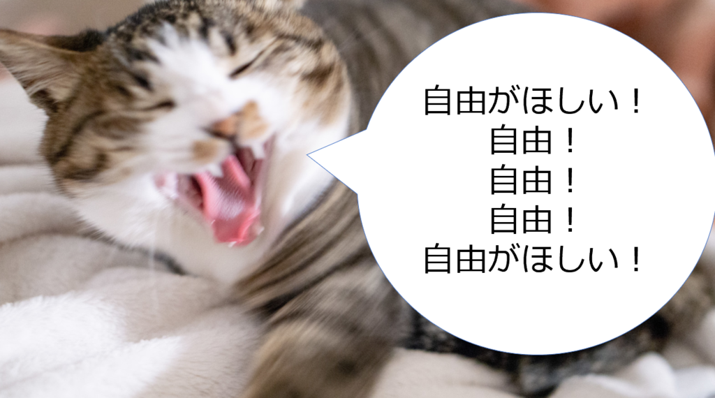 f:id:equipmentalism:20181223224941p:plain f:id:equipmentalism:20181223224941p:plain