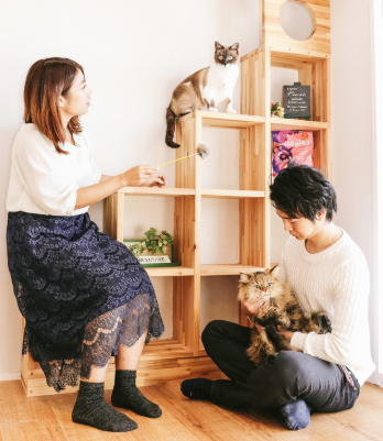f:id:equipmentalism:20190221151328p:plain f:id:equipmentalism:20190221151328p:plain