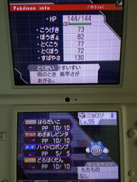 夢特性のロコンとニョロゾget Nocturnal Night 夢特性のロコンとニョロゾget Nocturnal Night