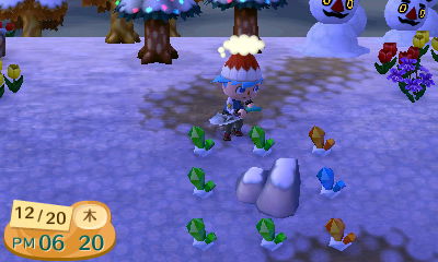 とび森日誌 今日はしずえさんの誕生日らしいが Nocturnal Night