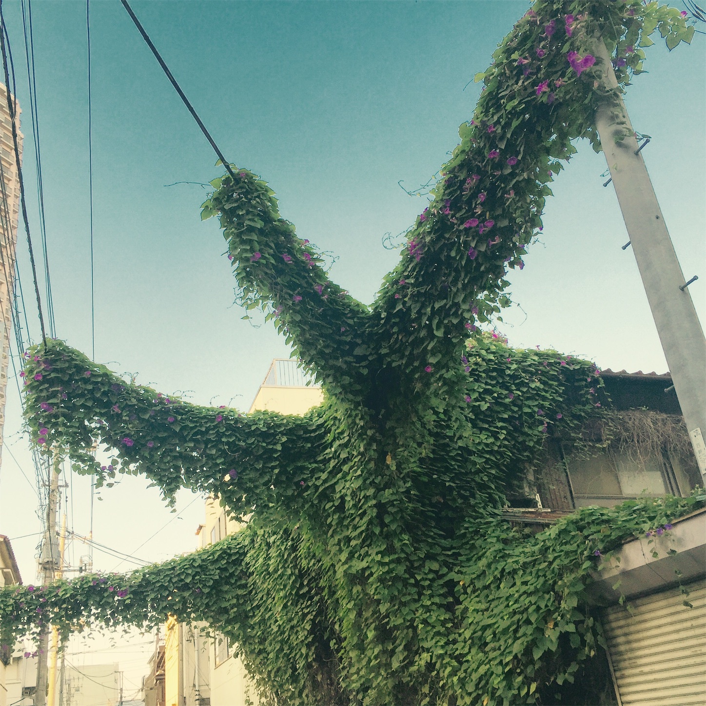 f:id:era4405:20161003193733j:image f:id:era4405:20161003193733j:image