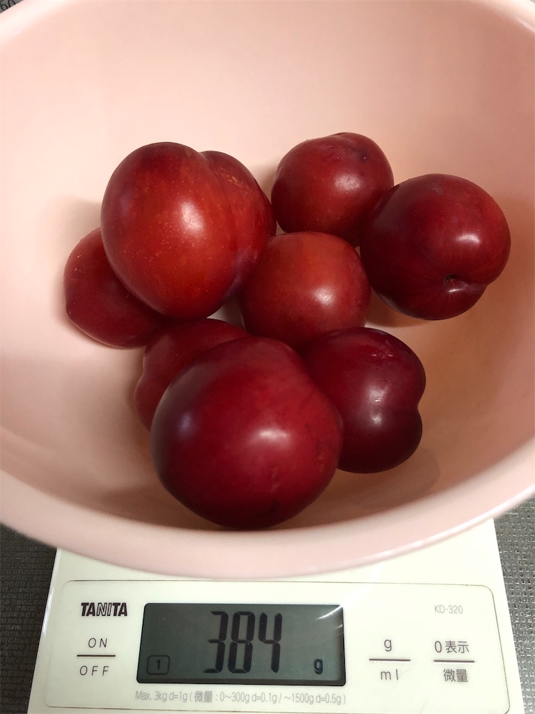 f:id:eresucharu:20190708234923j:image f:id:eresucharu:20190708234923j:image