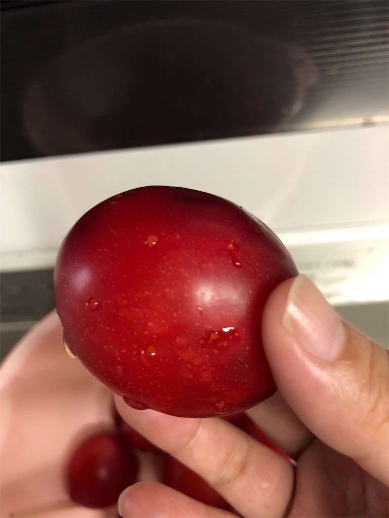 f:id:eresucharu:20190708234937j:image f:id:eresucharu:20190708234937j:image
