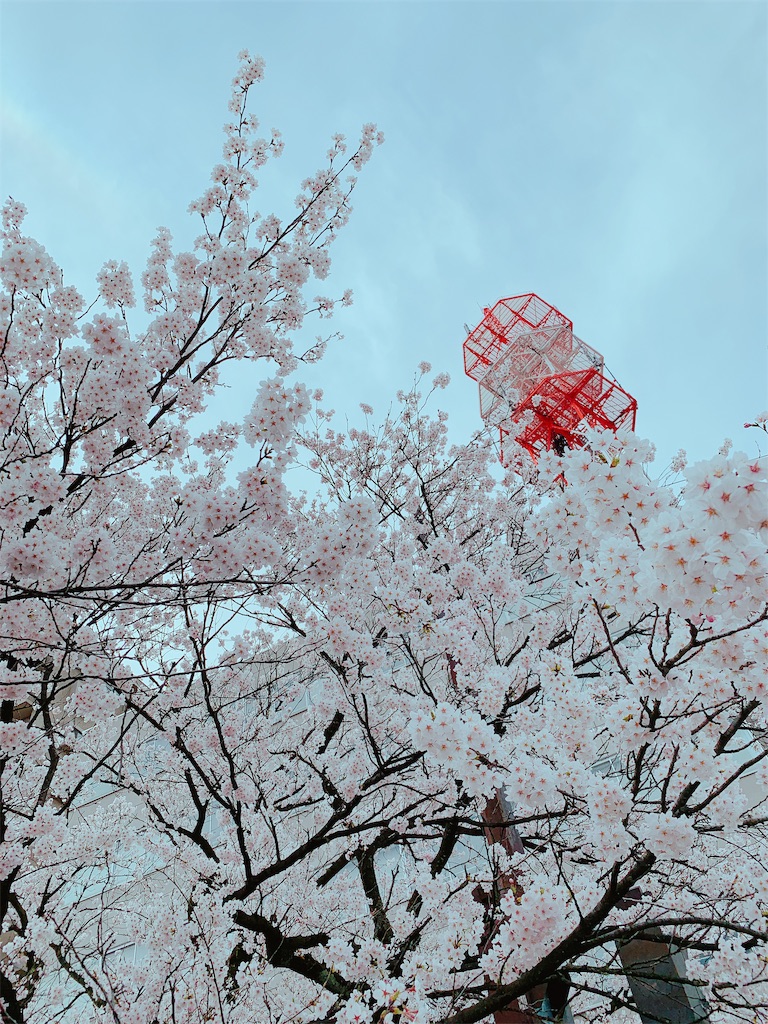 f:id:eri-imamachi:20190410144411j:image f:id:eri-imamachi:20190410144411j:image