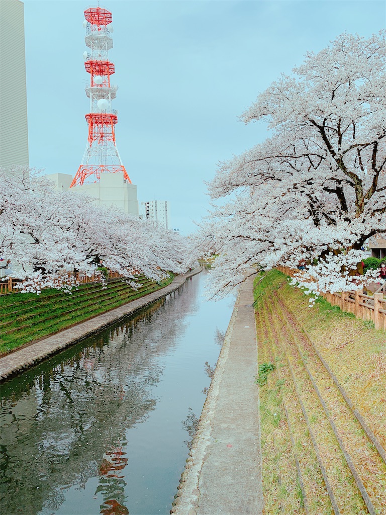 f:id:eri-imamachi:20190410144416j:image f:id:eri-imamachi:20190410144416j:image