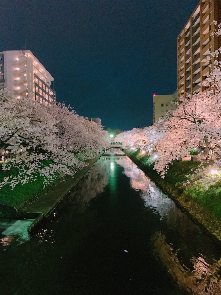 f:id:eri-imamachi:20190410152533j:image f:id:eri-imamachi:20190410152533j:image