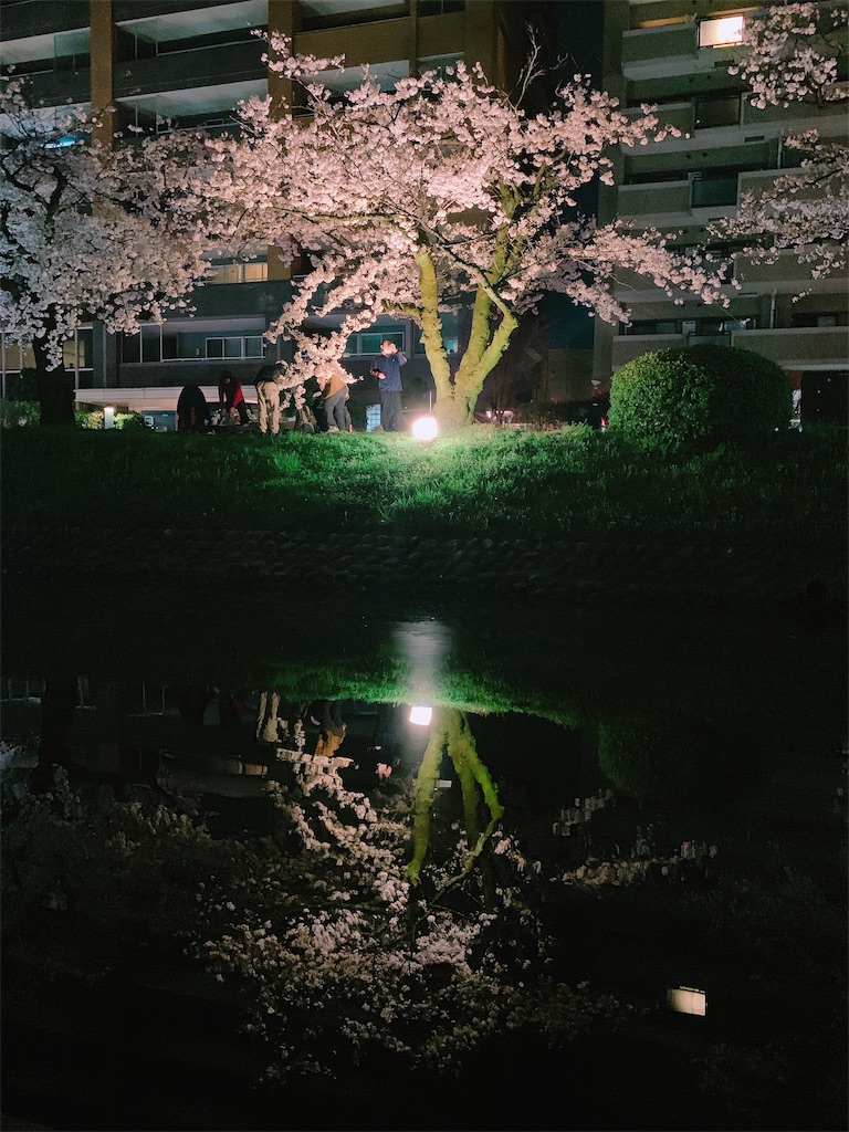 f:id:eri-imamachi:20190410152537j:image f:id:eri-imamachi:20190410152537j:image