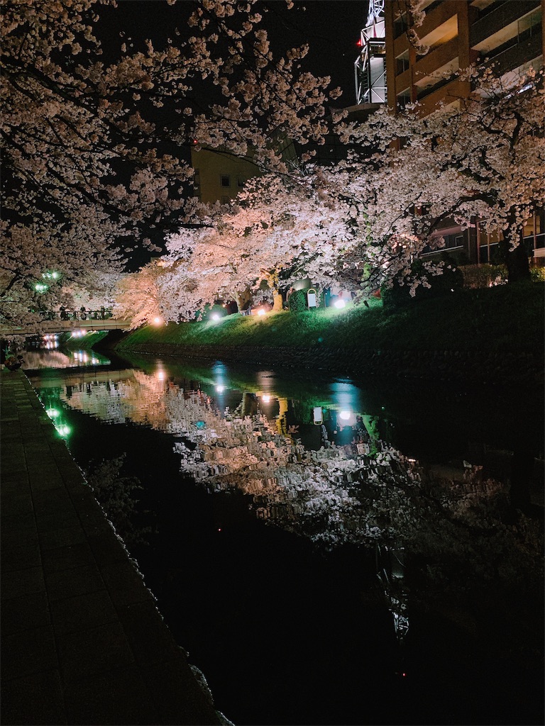 f:id:eri-imamachi:20190410152542j:image f:id:eri-imamachi:20190410152542j:image