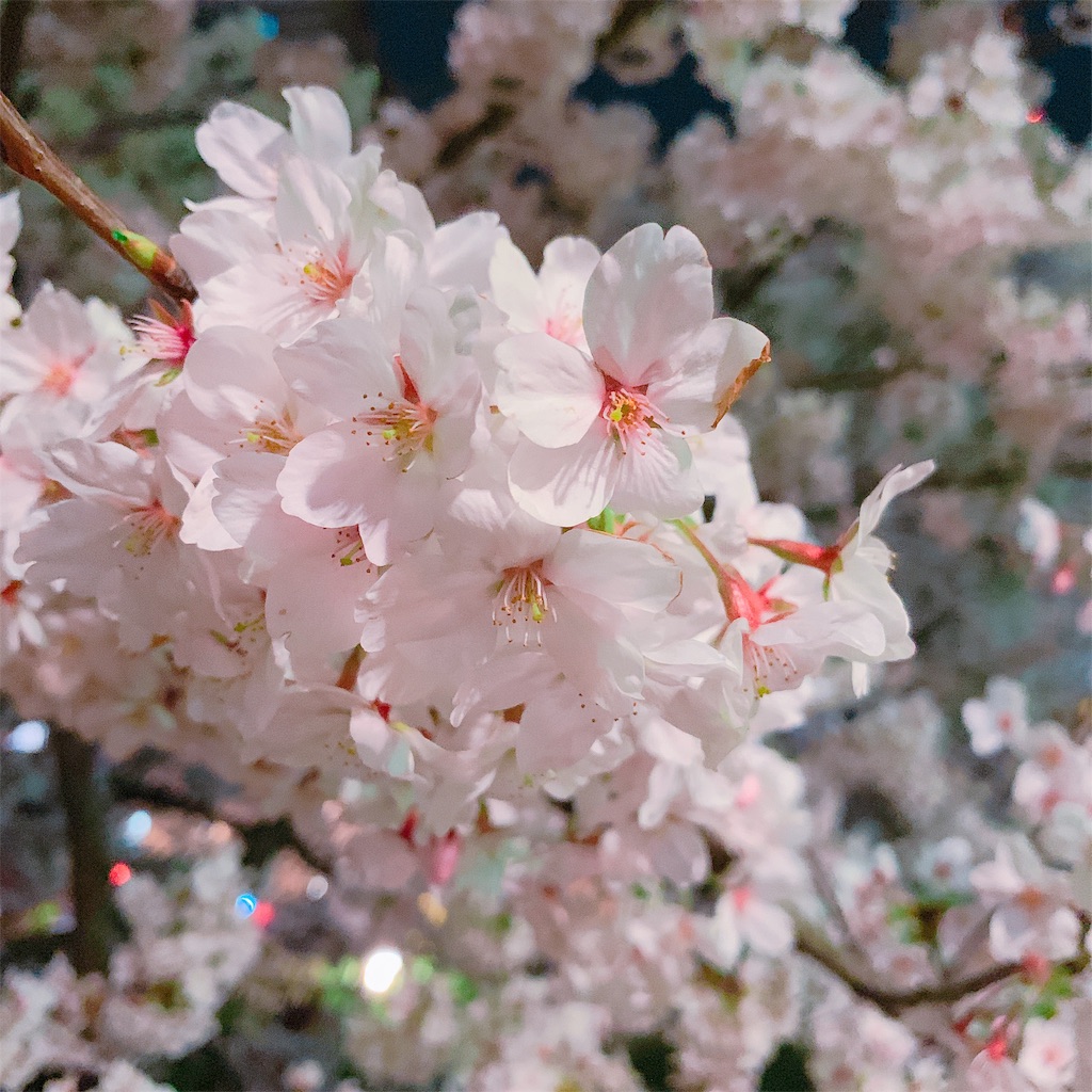 f:id:eri-imamachi:20190410152547j:image f:id:eri-imamachi:20190410152547j:image