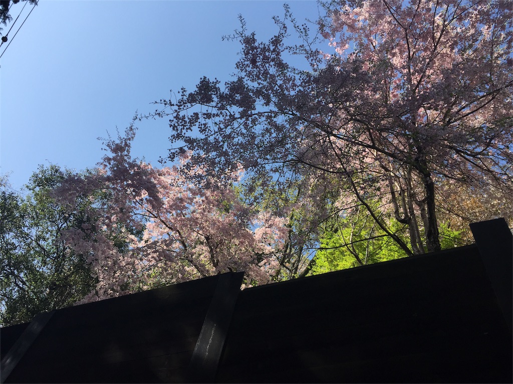 f:id:eri-inoue-86:20170420095417j:image f:id:eri-inoue-86:20170420095417j:image