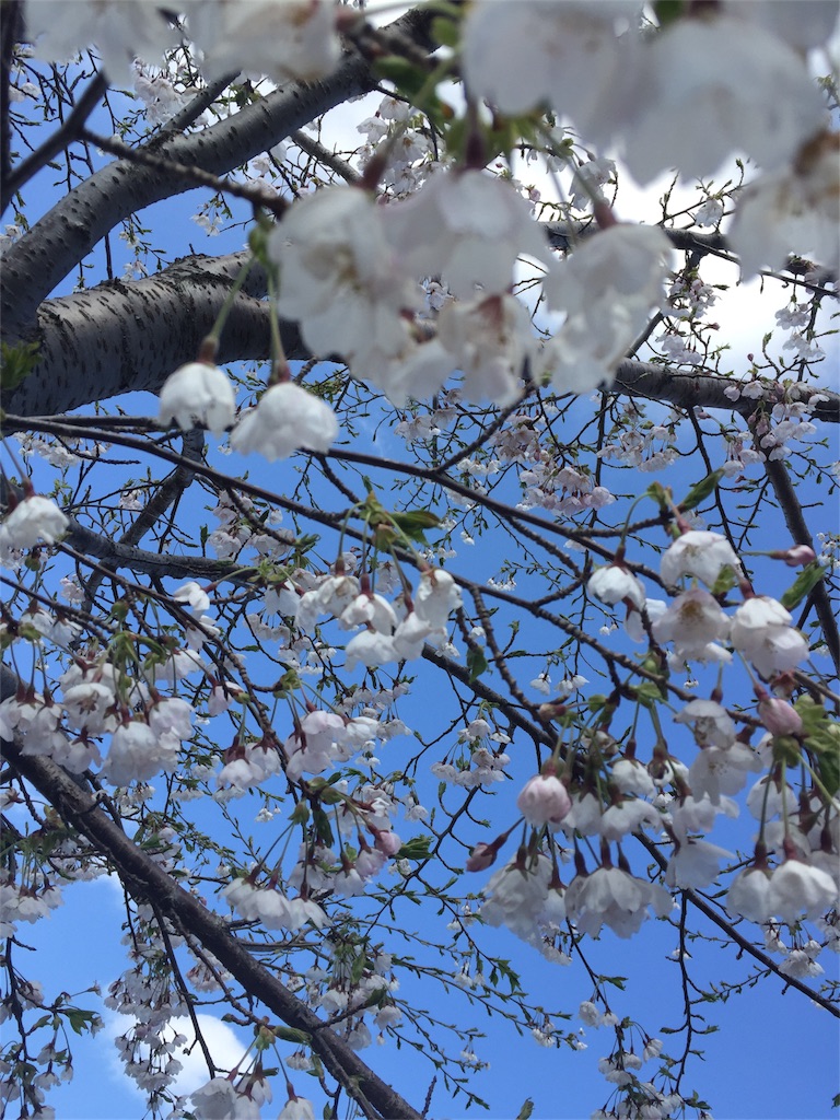 f:id:eri-inoue-86:20170420095836j:image f:id:eri-inoue-86:20170420095836j:image