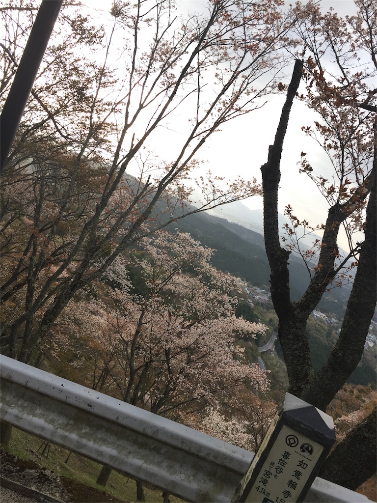 f:id:eri-inoue-86:20170420101236j:image f:id:eri-inoue-86:20170420101236j:image