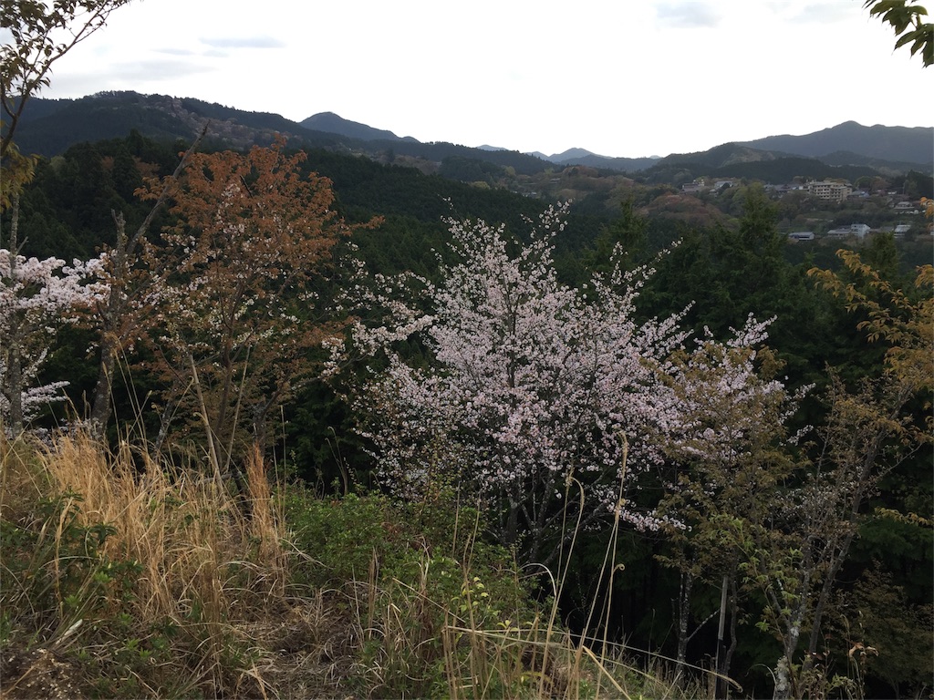 f:id:eri-inoue-86:20170420102326j:image f:id:eri-inoue-86:20170420102326j:image