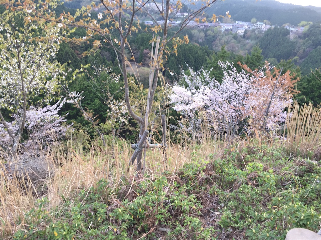 f:id:eri-inoue-86:20170420102736j:image f:id:eri-inoue-86:20170420102736j:image
