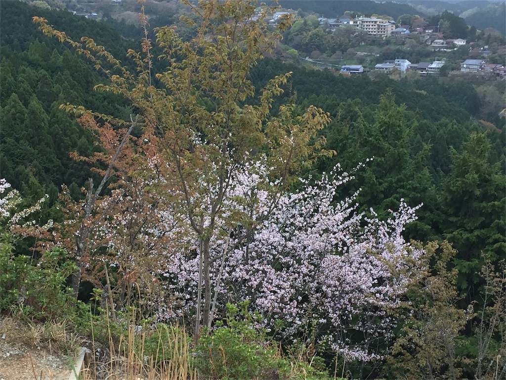 f:id:eri-inoue-86:20170420102748j:image f:id:eri-inoue-86:20170420102748j:image