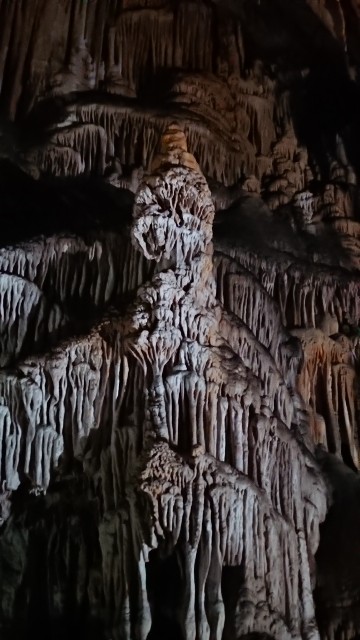 f:id:eri-john:20191030002839j:image