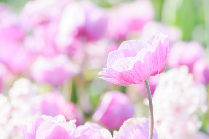 f:id:eri778:20200902221214j:plain