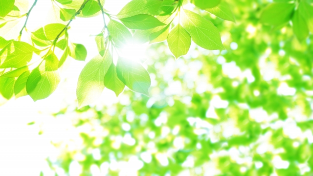 f:id:eri778:20201011142001j:plain