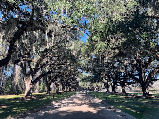 f:id:ericayo:20221229041824j:image f:id:ericayo:20221229041824j:image