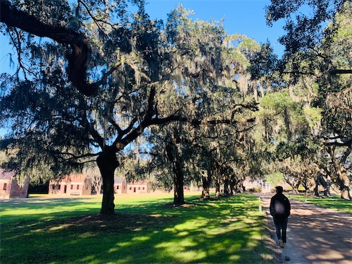 f:id:ericayo:20221229041830j:image f:id:ericayo:20221229041830j:image