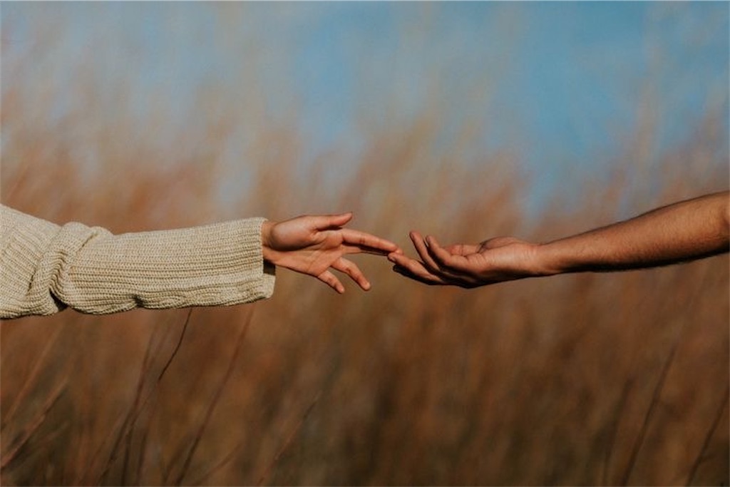 f:id:erieri_panpan:20201115220058j:image