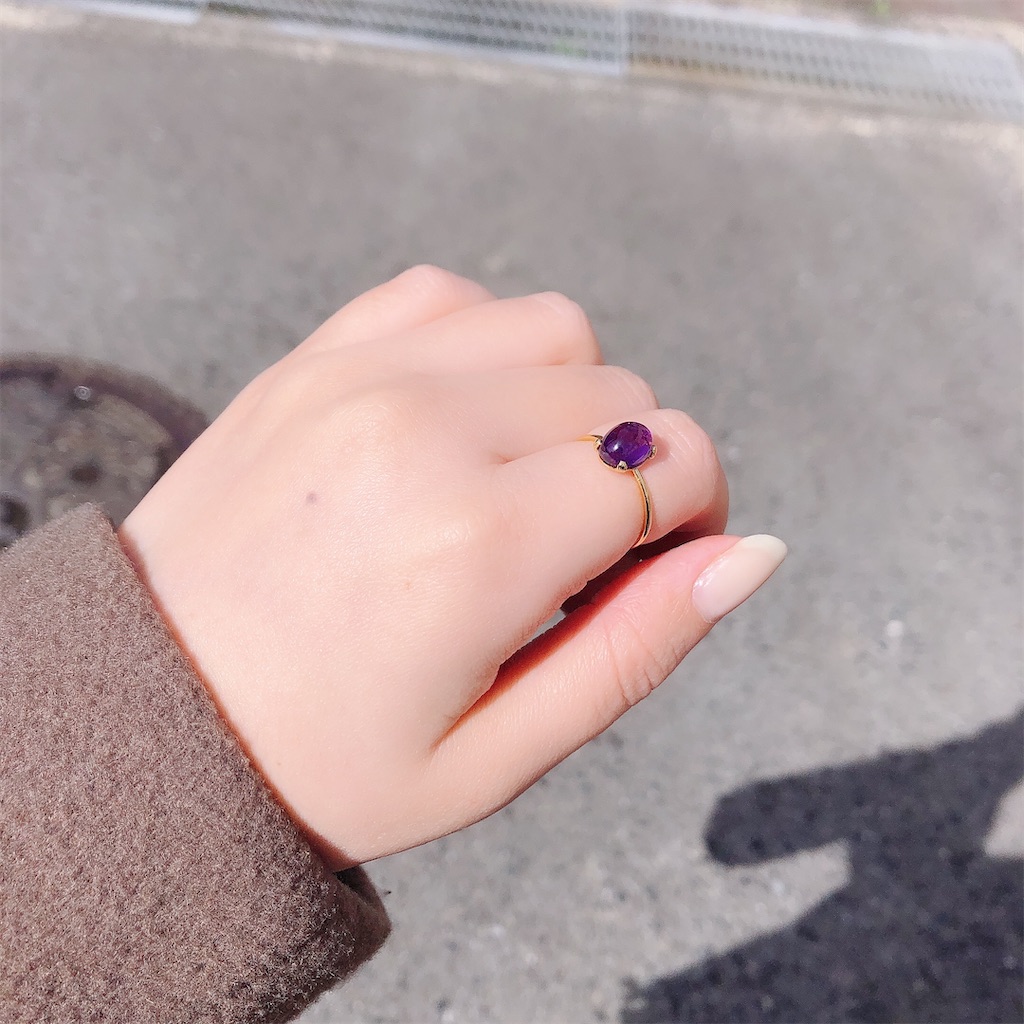 f:id:erieringiiii:20210228182446j:image