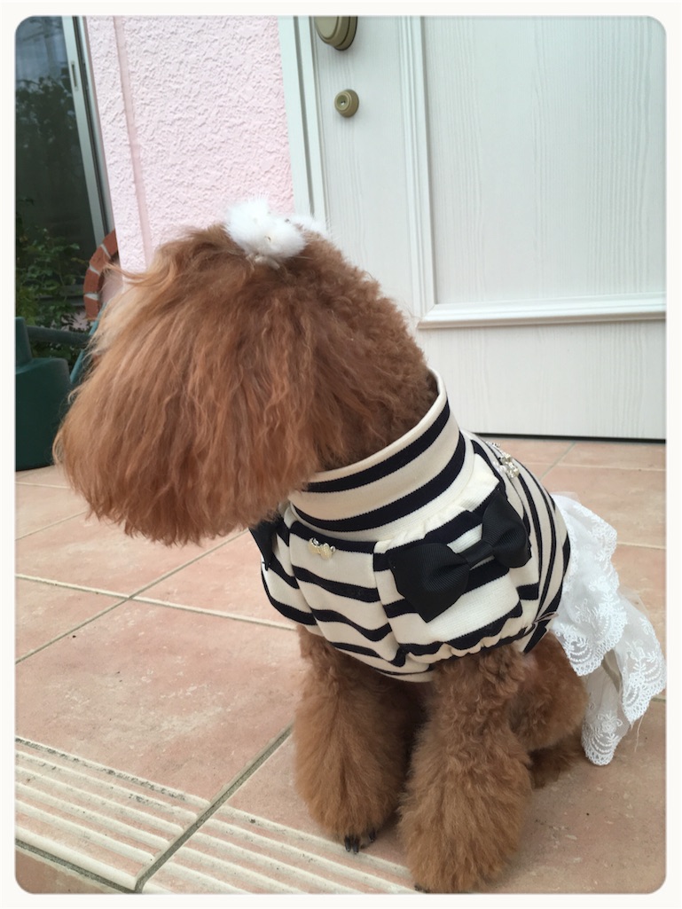f:id:erigarden:20161030132210j:image f:id:erigarden:20161030132210j:image