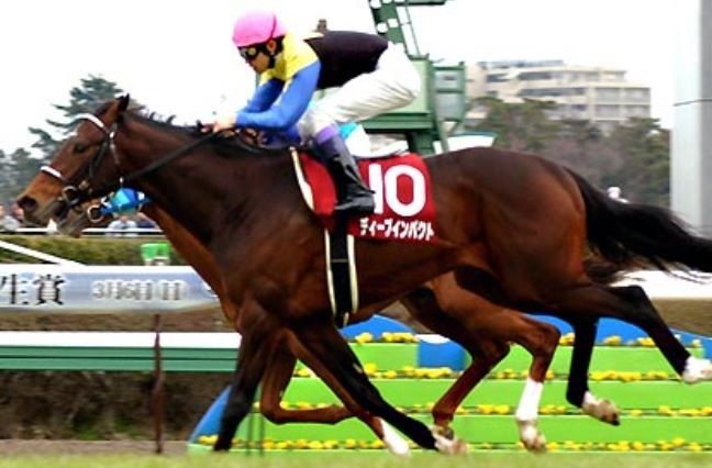 f:id:erika0015:20190804150722j:plain