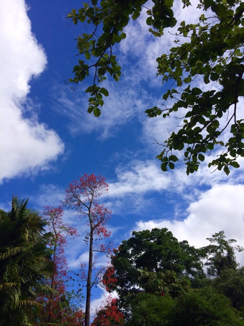 f:id:erika0706:20150503101922j:plain f:id:erika0706:20150503101922j:plain