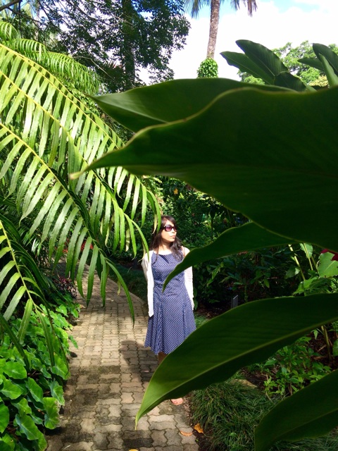 f:id:erika0706:20150503102745j:plain f:id:erika0706:20150503102745j:plain