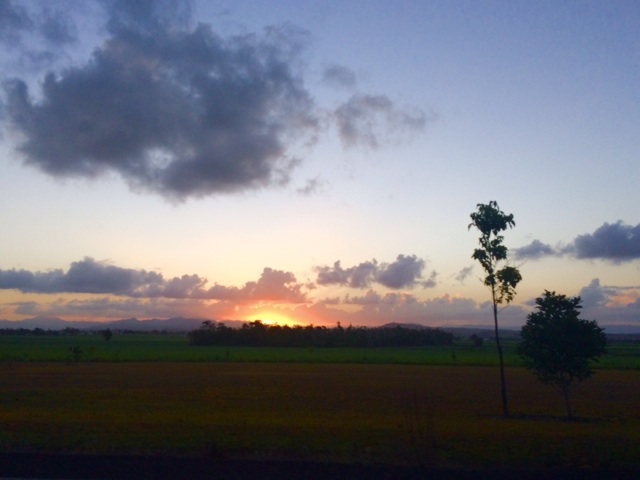 f:id:erika0706:20150605005903j:plain f:id:erika0706:20150605005903j:plain