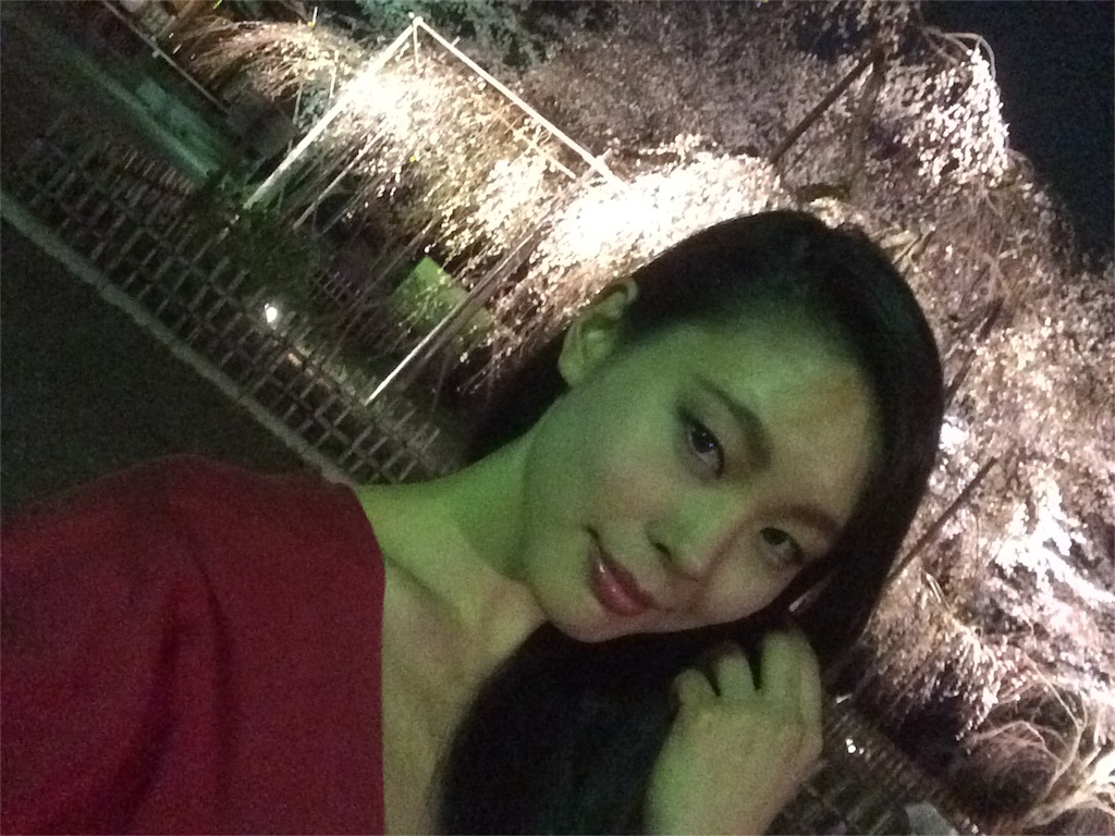 f:id:erika0706:20160406212251j:image f:id:erika0706:20160406212251j:image