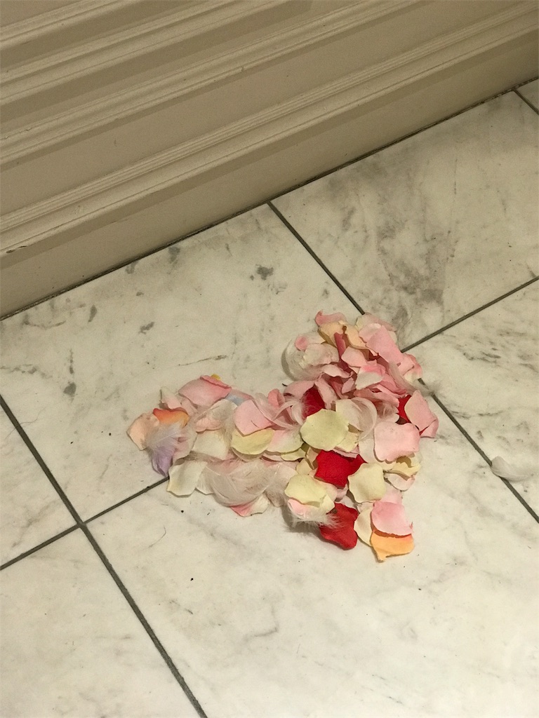 f:id:erika0706:20171101221801j:image f:id:erika0706:20171101221801j:image