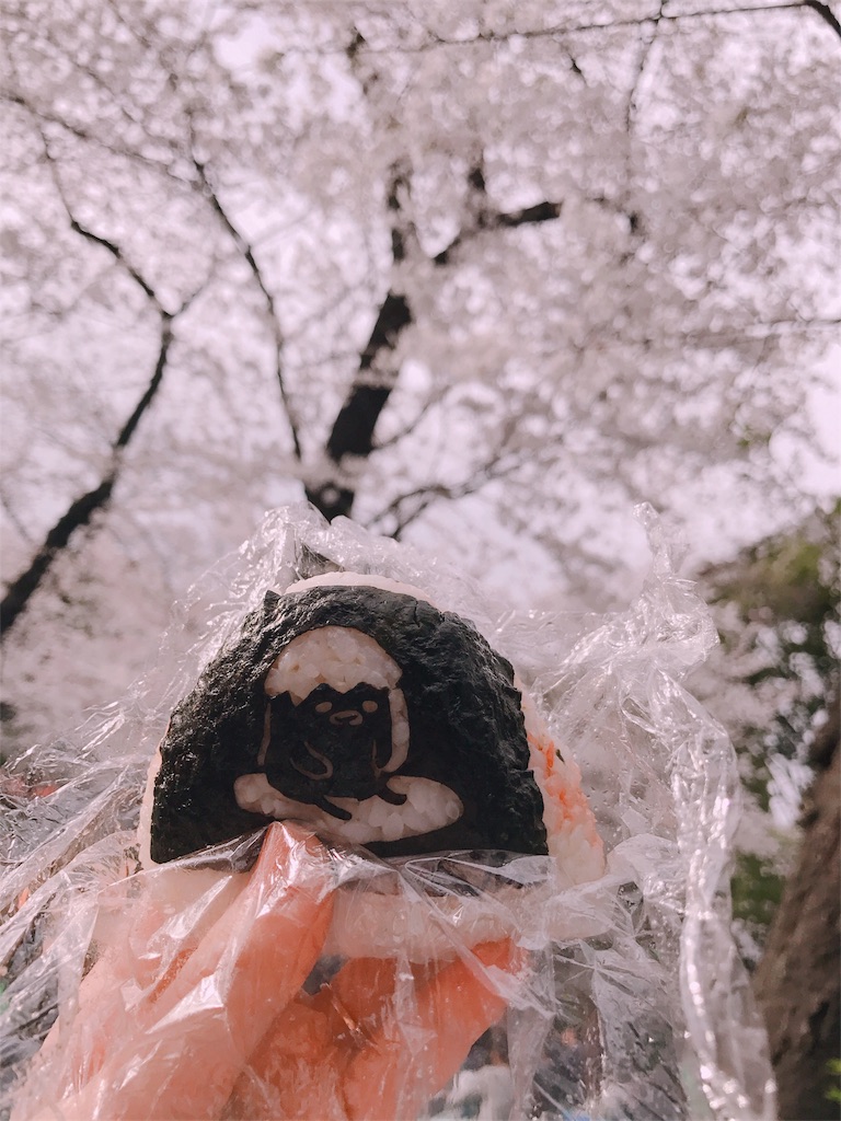 f:id:erika0706:20180329204512j:image