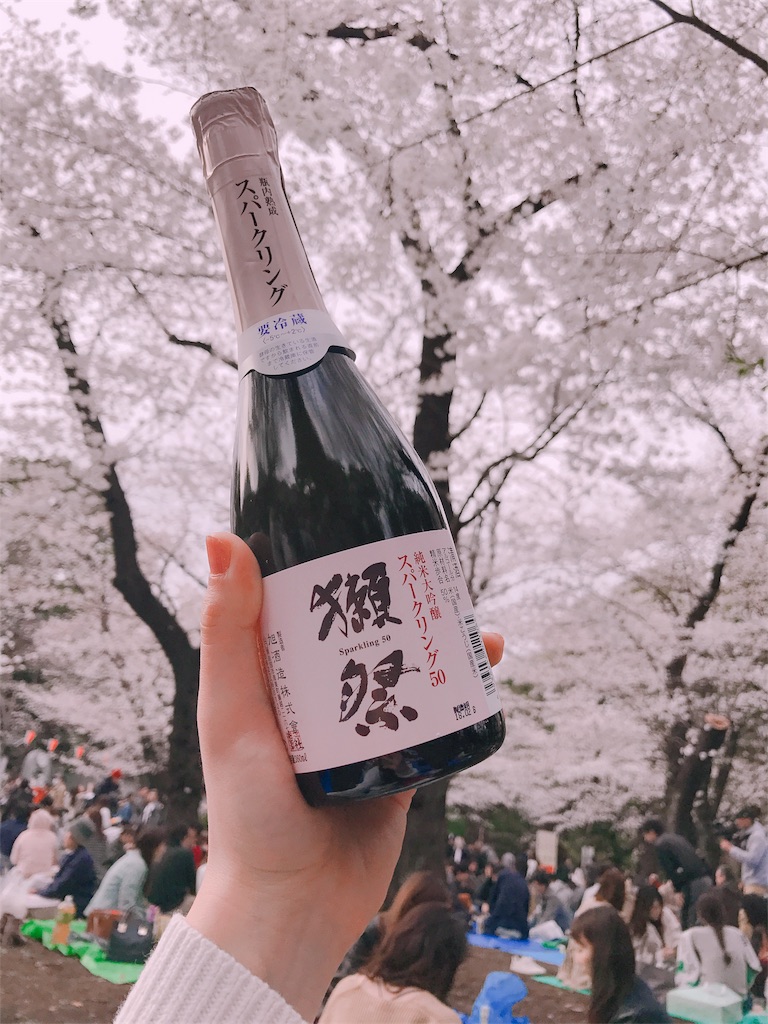 f:id:erika0706:20180329204648j:image