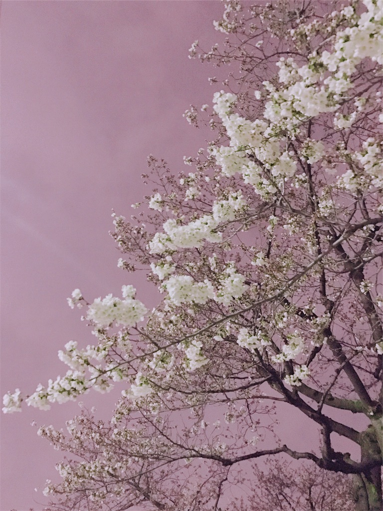 f:id:erika0706:20180329204729j:image