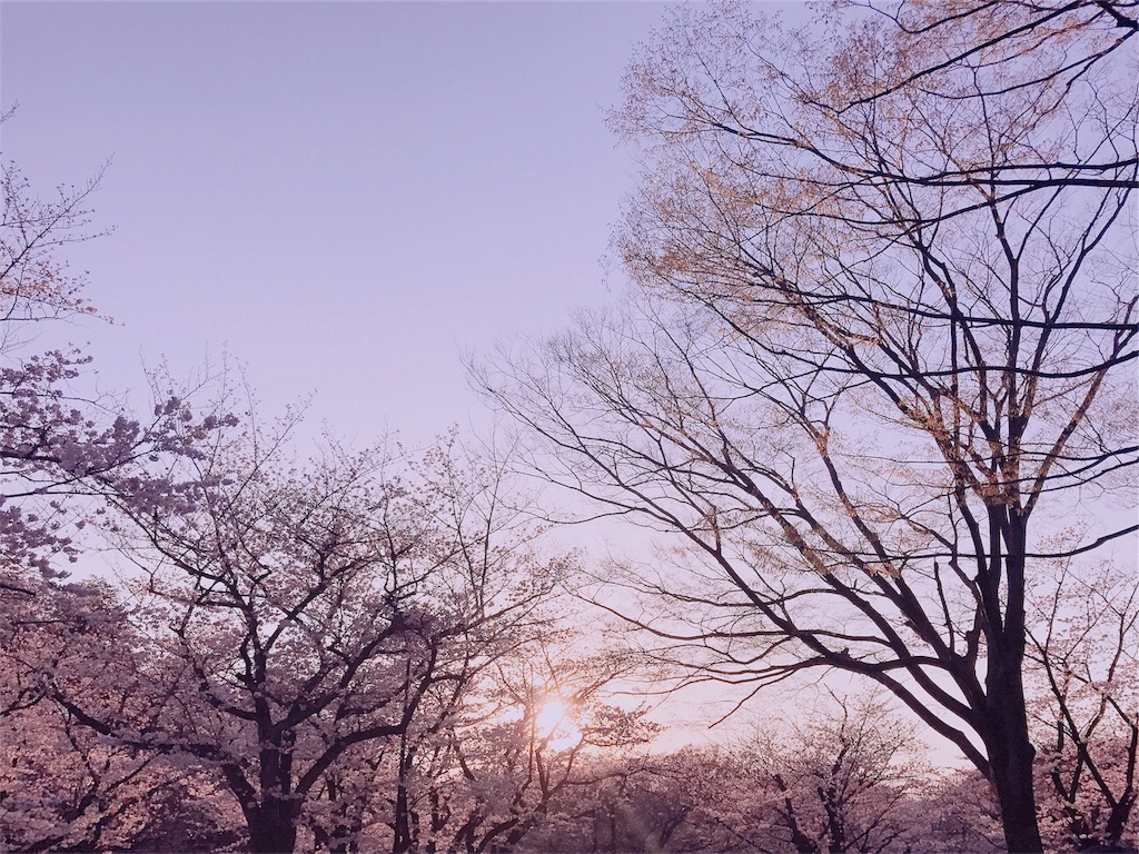 f:id:erika0706:20180329204810j:image