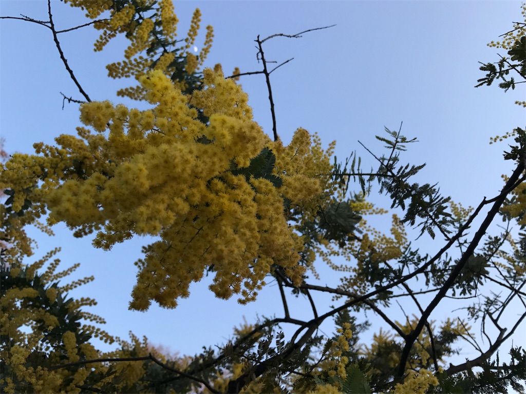 f:id:erika0706:20180329204936j:image