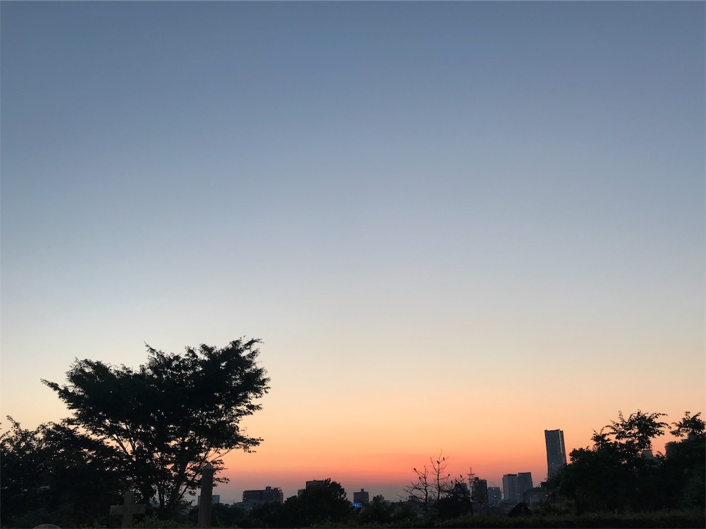 f:id:erika0706:20180606175522j:image f:id:erika0706:20180606175522j:image